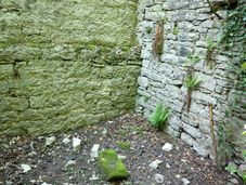Inneres des Turmes des Zwingers