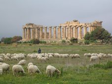 Selinunt Tempel E