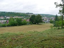 Blick über das Feld des Annexkastells