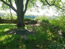 Westliche Vorburg mit Baum