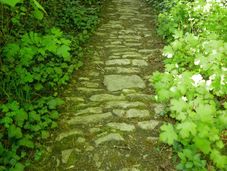 Aufgang zum Tor der Stammburg
