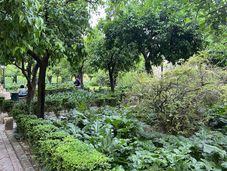 Im Park des Alcazars von Cordoba